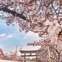 尾張大國霊神社（国府宮）の自然