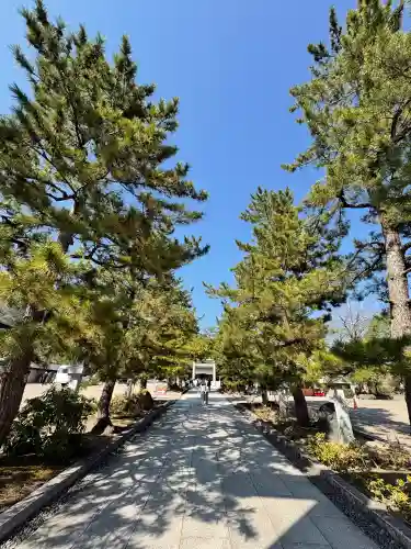 丹後一ノ宮 元伊勢 籠神社の{uncategorized: "未分類", other: "その他", undefined: "問題あり", building: "その他建物", grave: "お墓", sacred_gate: "鳥居", guardian: "狛犬", statue: "像", buddha: "仏像", history: "歴史", nature: "自然", garden: "庭園", animal: "動物", pagoda: "塔", temizu: "手水舎", mountain_gate: "山門・神門", sanctuary: "本殿・本堂", subordinate: "末社・摂社", art: "芸術", scenery: "景色", jizo: "地蔵", ema: "絵馬", goshuin: "御朱印", omikuji: "おみくじ", items: "授与品その他", amulet: "お守り", goshuincho: "御朱印帳", eats: "食事", festival: "お祭り", votive_dance: "神楽", shichigosan: "七五三参", wedding: "結婚式", experience: "体験その他", initially: "初詣", around: "周辺", anti_infection: "感染症対策"}