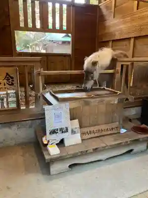 平塚八幡宮(神奈川県)