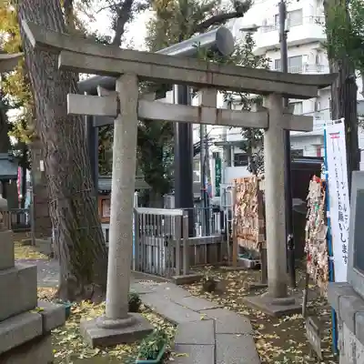 高円寺氷川神社の鳥居