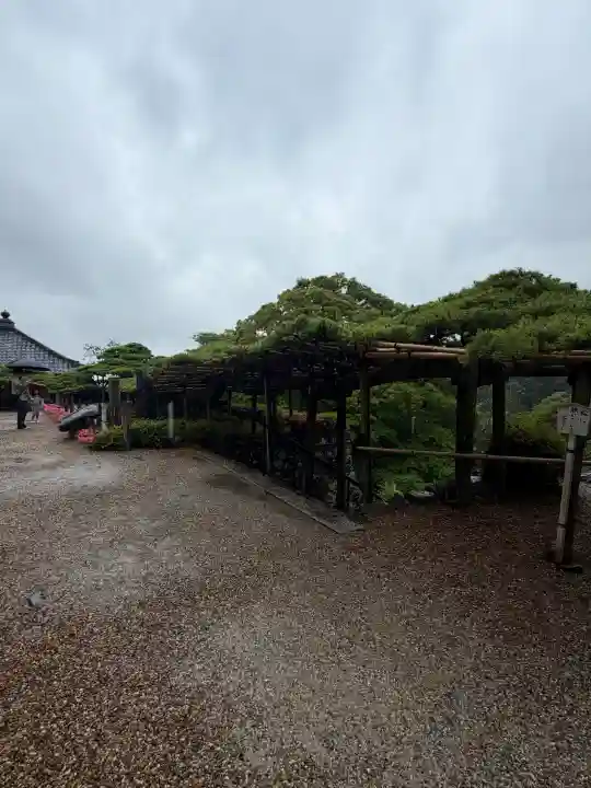 善峯寺(京都府)