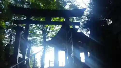 三峯神社の鳥居