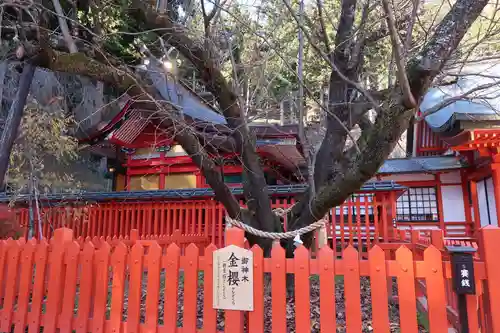 金櫻神社(山梨県)