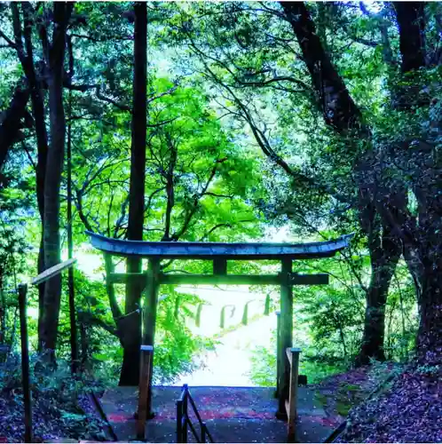 八幡神社の鳥居