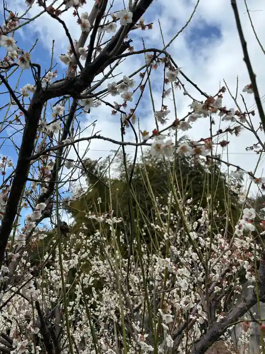清勝寺(兵庫県)