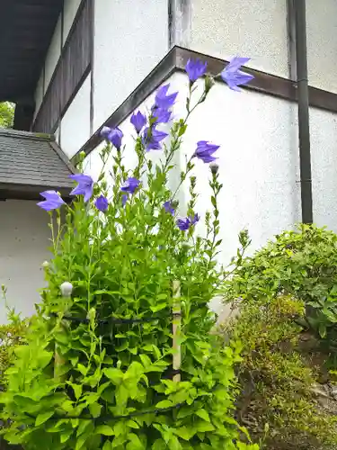 阿智神社の自然