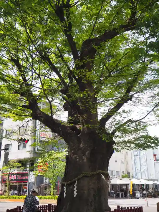 大國魂神社(東京都)