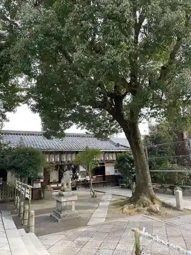 縣神社の自然