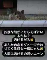 専念寺(大阪府)