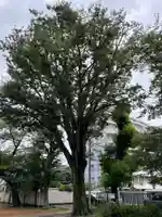 天祖神社(東京都)