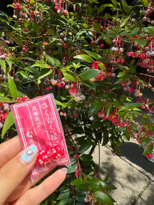 赤坂氷川神社(東京都)