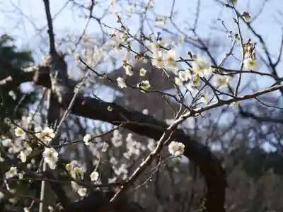 三渓園天満宮の自然