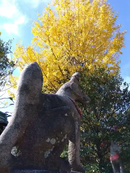 木田神社(福井県)
