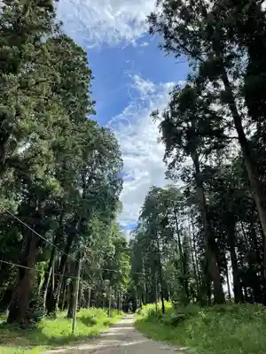 中村八幡宮(栃木県)