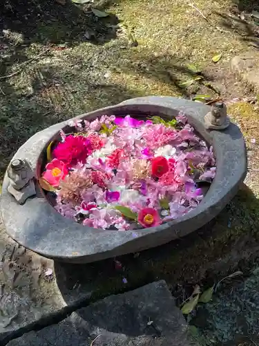 かっぱの寺 栖足寺(静岡県)