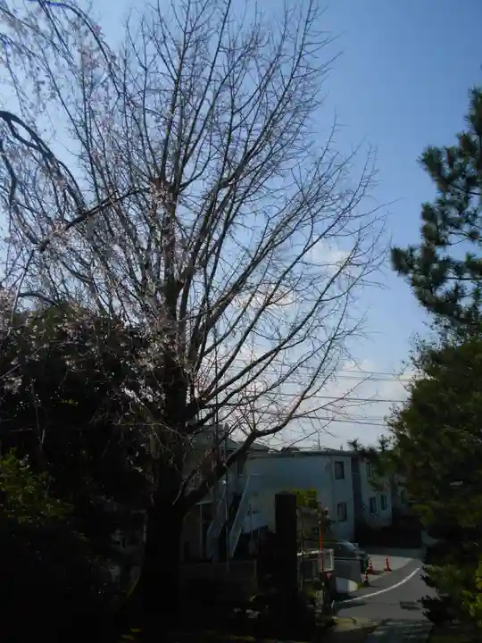 安國論寺(安国論寺)の自然