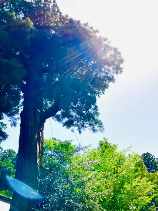 香取神宮(千葉県)