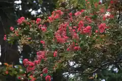 田村神社の自然