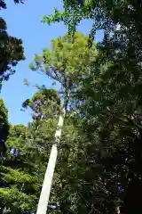 涼ケ岡八幡神社(福島県)