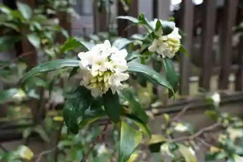 生國魂神社御旅所の自然