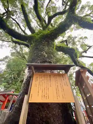 熊野那智大社(和歌山県)