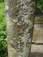 鹿王神社のその他建物