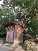 鎮守宮(千葉県)