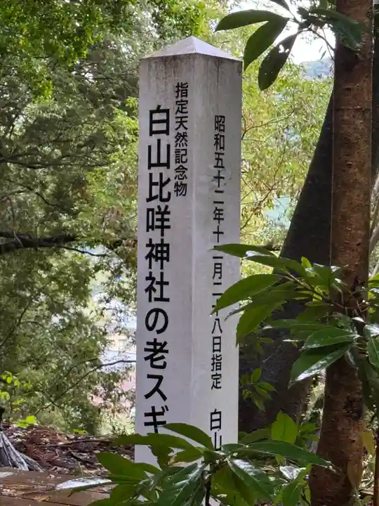 白山比咩神社(石川県)