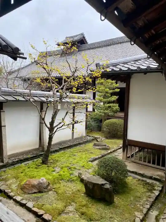 隨心院(随心院)の庭園