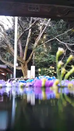 前玉神社の手水