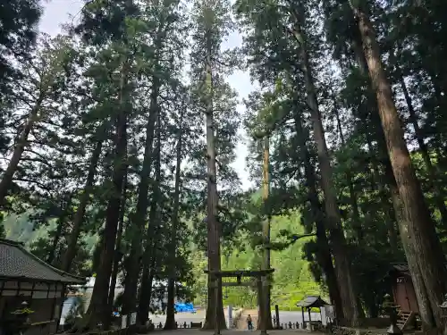 室生龍穴神社(奈良県)