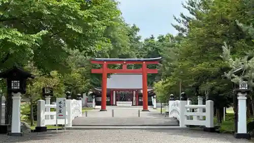 北海道護國神社の鳥居