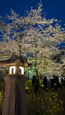 平野神社(京都府)