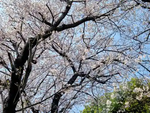 桜森稲荷神社(神奈川県)