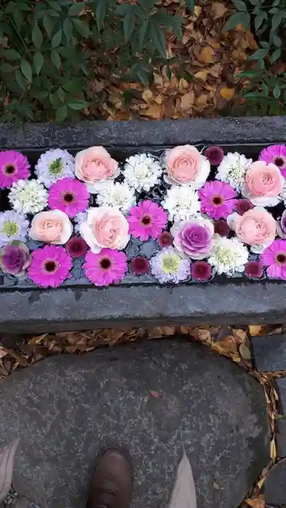 行田八幡神社の手水舎