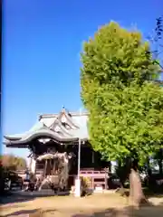 諏訪神社(東京都)