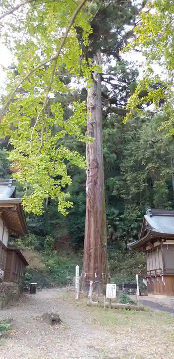 樺崎八幡宮(栃木県)