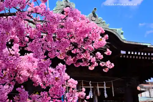 桜神宮(東京都)