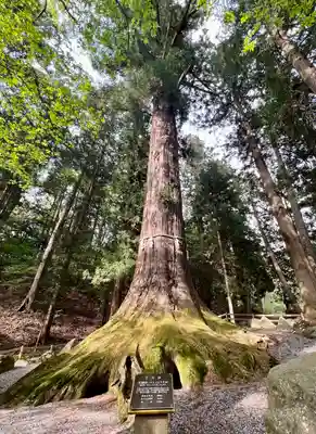 河口浅間神社(山梨県)