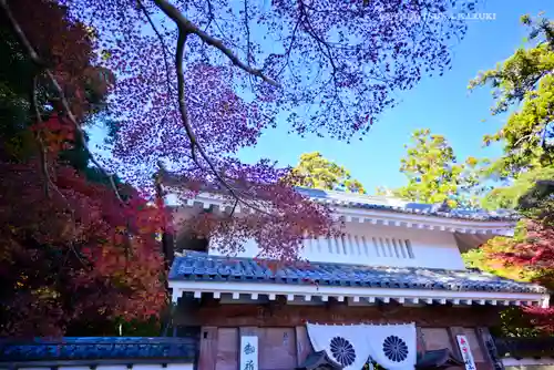 目の霊山　油山寺(静岡県)