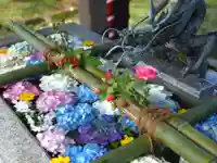 今市報徳二宮神社の手水舎