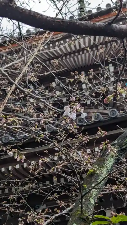 本法寺(京都府)