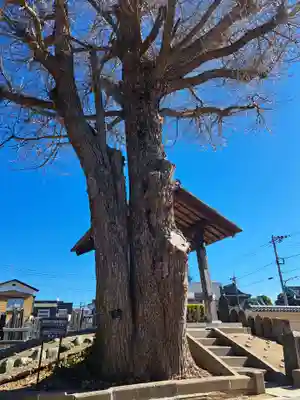 真勝院(東京都)