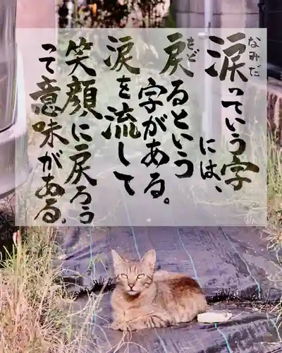 専念寺(大阪府)