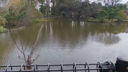 菊田神社の自然