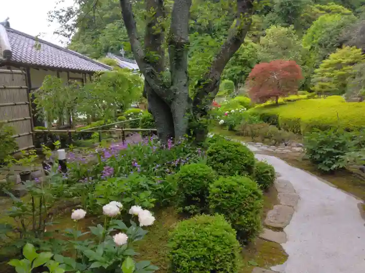 長壽寺(長寿寺)(神奈川県)
