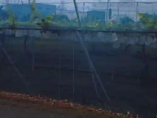 諏訪神社の周辺