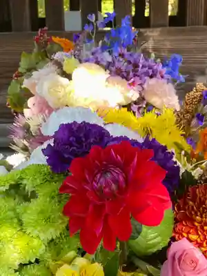 勝林寺(京都府)