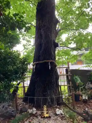 戸越八幡神社(東京都)