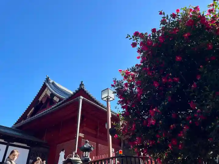 清水観音堂(東京都)